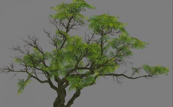 Low Poly Tree Set with vines hanging from it 3D model_14