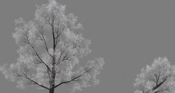 Low Poly Tree Set with vines hanging from it 3D model_13