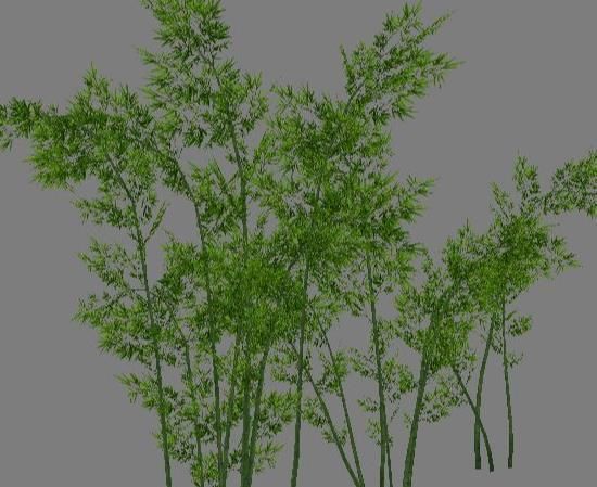 Low Poly Tree Set with vines hanging from it 3D model_2