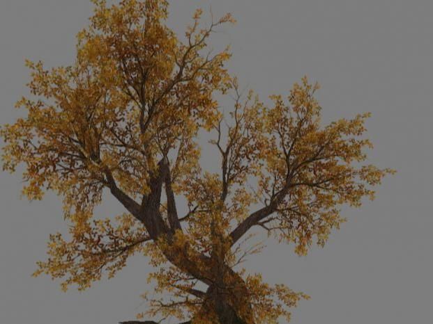 Low Poly Tree Set with vines hanging from it 3D model_12