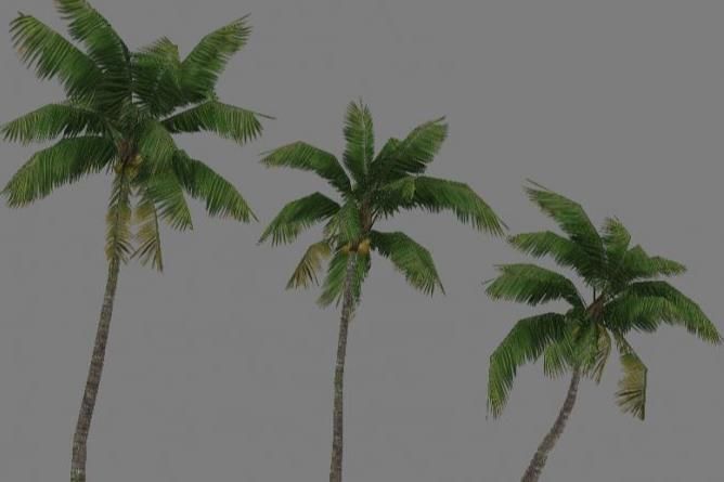 Low Poly Tree Set with vines hanging from it 3D model_6