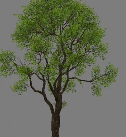 Low Poly Tree Set with vines hanging from it 3D model_11