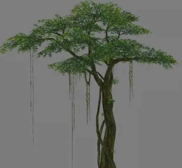 Low Poly Tree Set with vines hanging from it 3D model_0