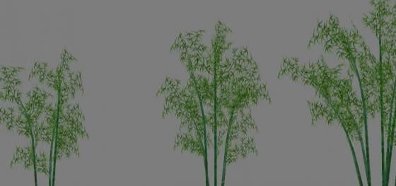 Low Poly Tree Set with vines hanging from it 3D model_16