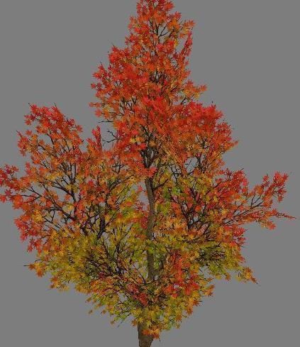 Low Poly Tree Set with vines hanging from it 3D model_17