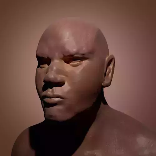 African Man Bust