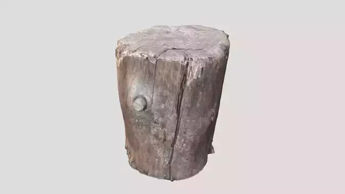 Tree stump for chopping wood