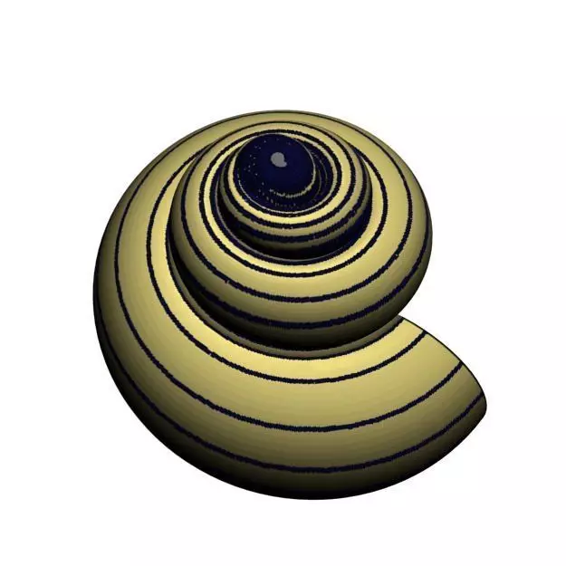 Helix Seashell 3D print model_0