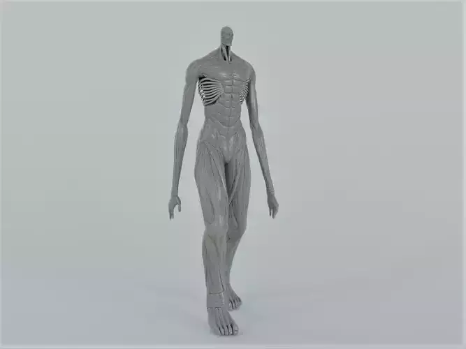 Colossal Titan Armin