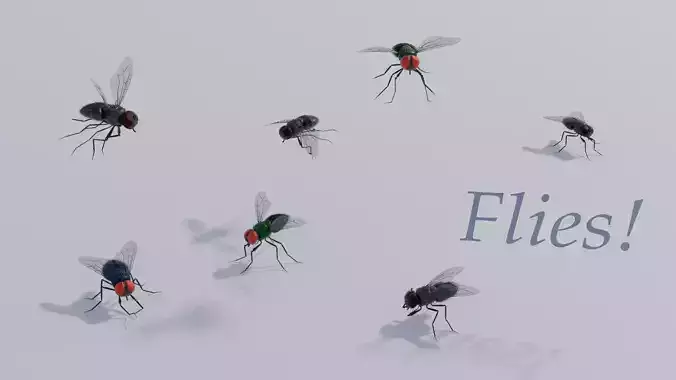 Flies for blender Low-poly 3D model