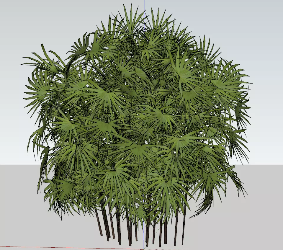Palm tree Free 3D model