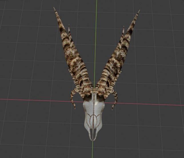 DEMON SKULL Low-poly 3D model_8