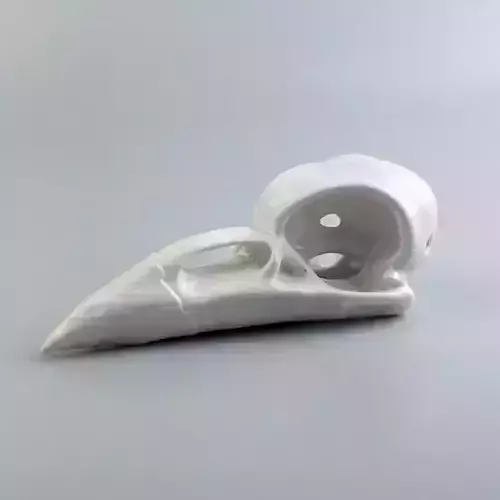 bird skull crow skull pendant ready to print