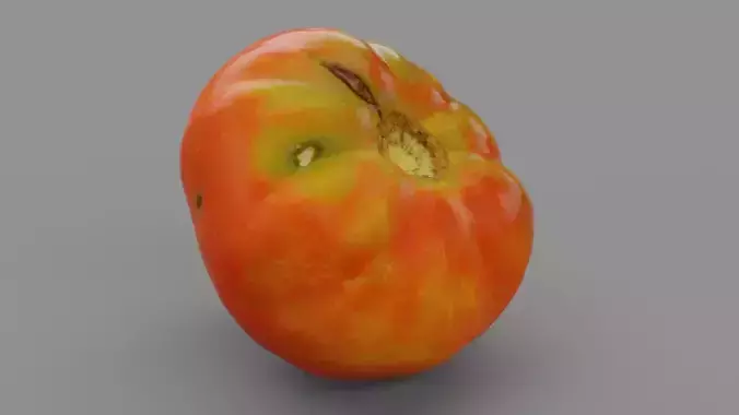 Tomato 06 high-poly