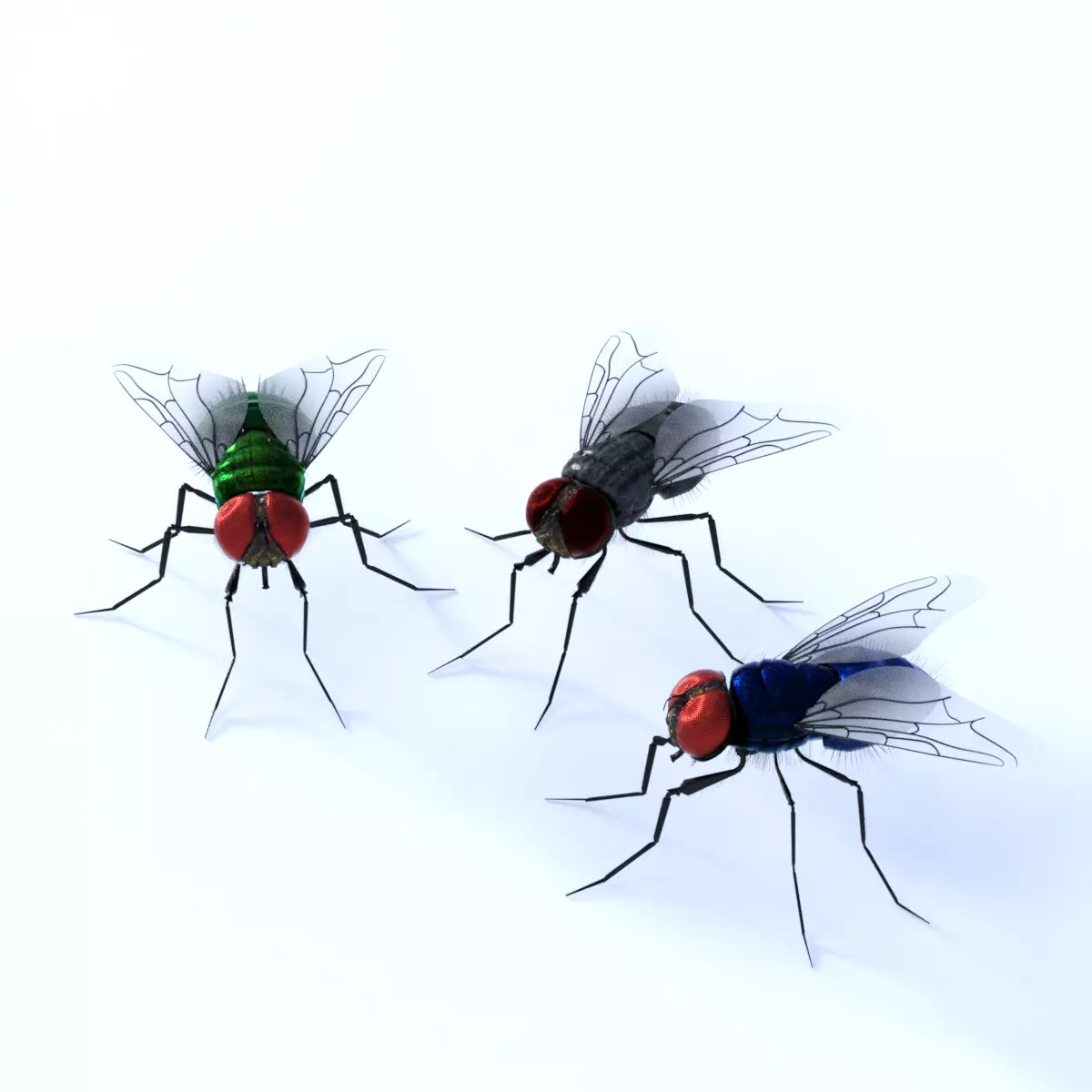 Flies for DAZ 3D model_0