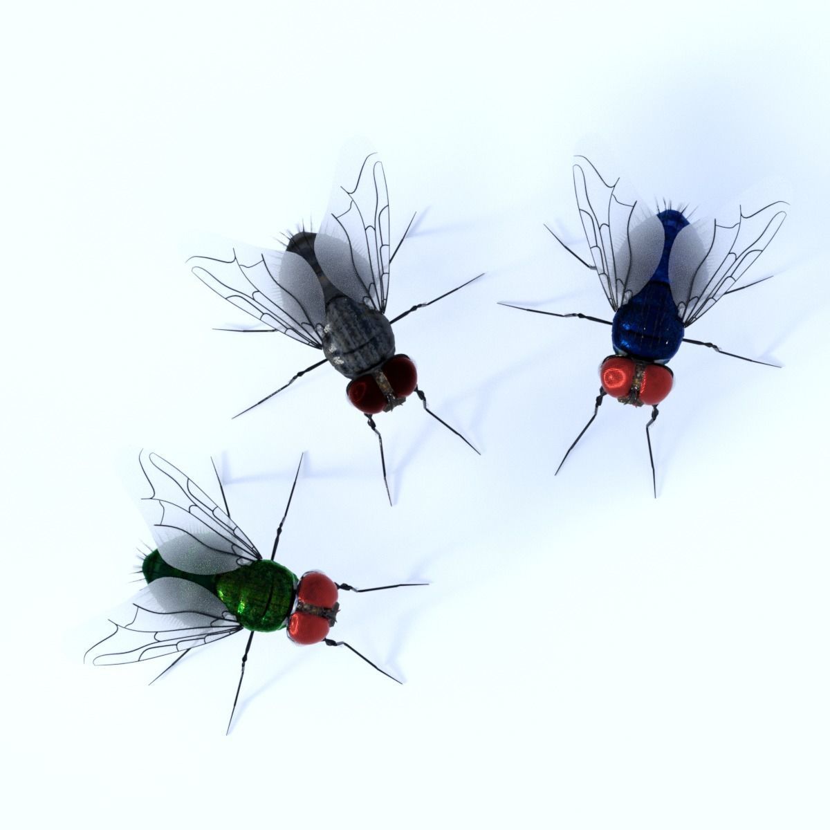 Flies for DAZ 3D model_4