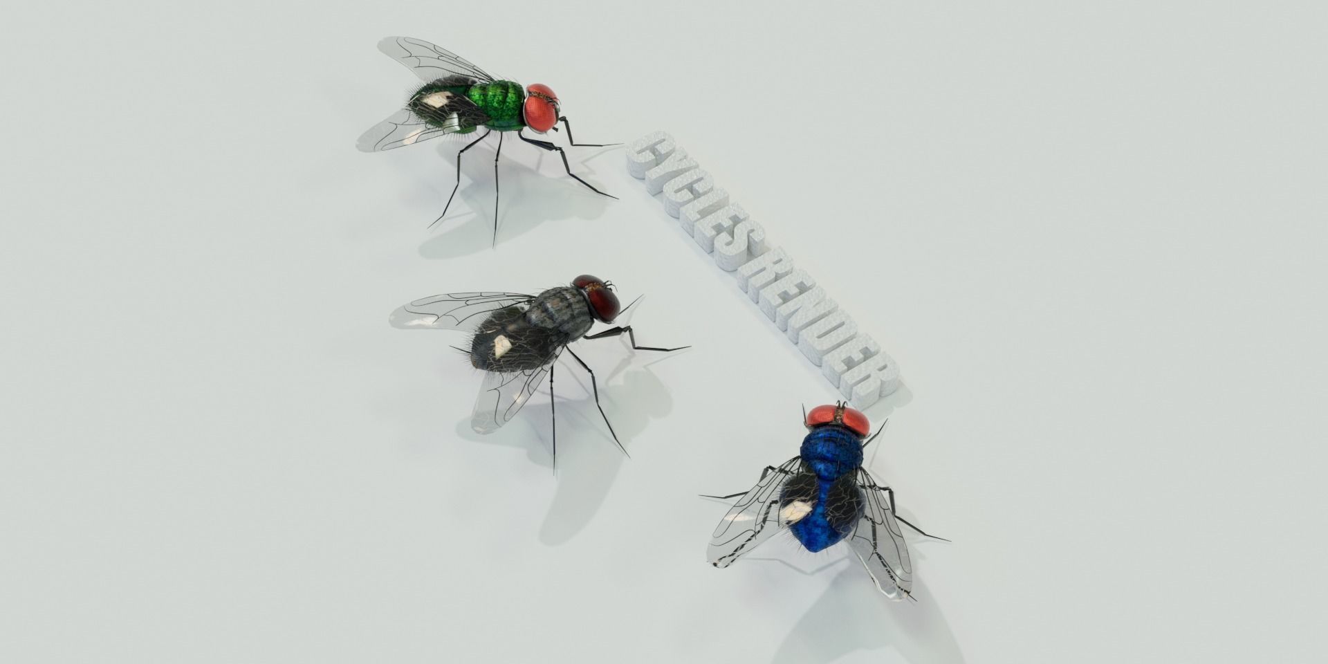 Flies pack for blender and DAZStudio 3D Model Collection_19