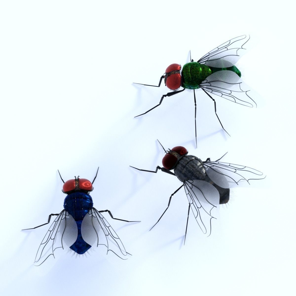 Flies pack for blender and DAZStudio 3D Model Collection_4