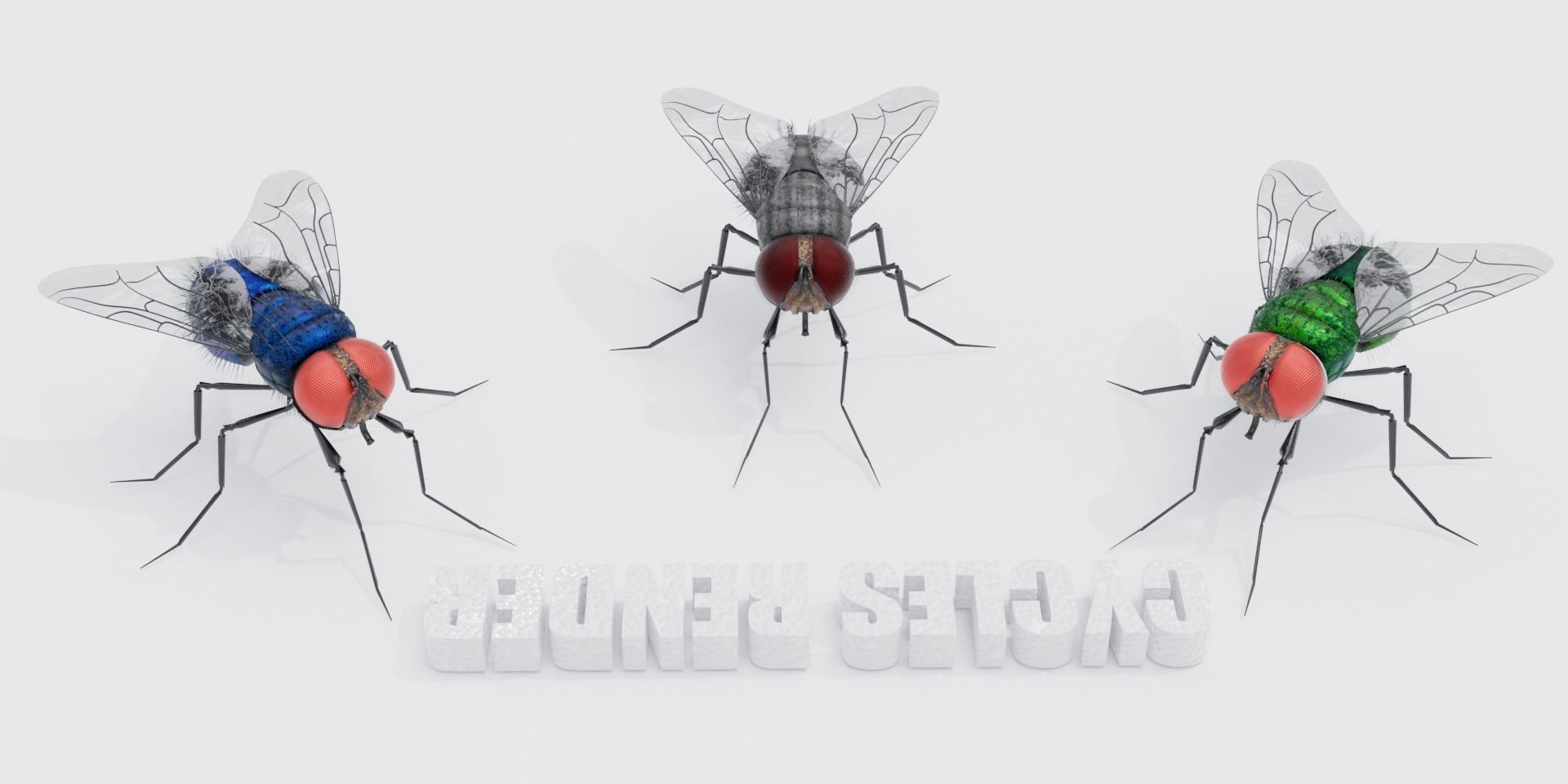 Flies pack for blender and DAZStudio 3D Model Collection_18