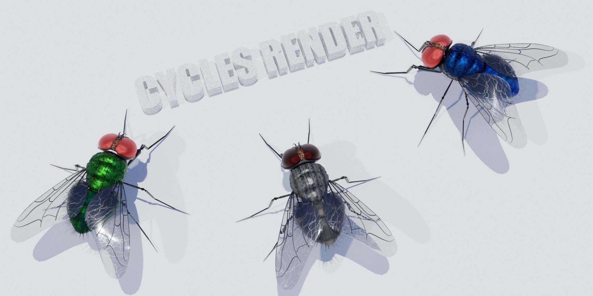 Flies pack for blender and DAZStudio 3D Model Collection_12