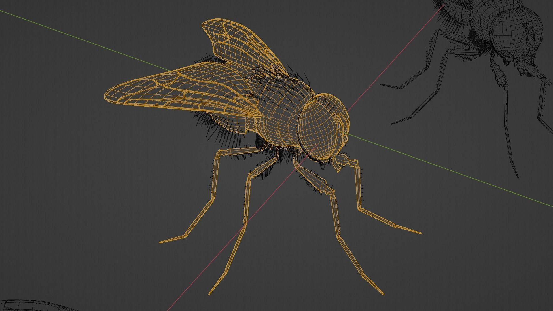 Flies pack for blender and DAZStudio 3D Model Collection_3