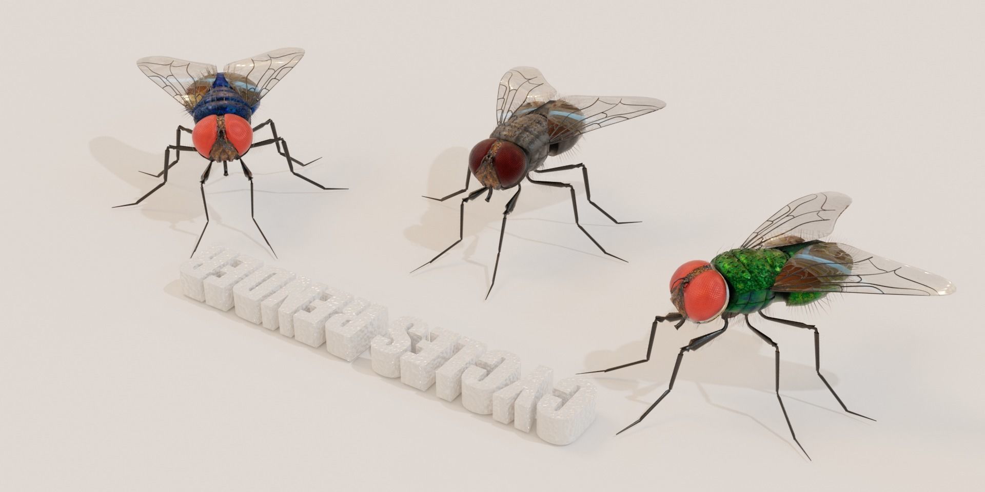 Flies pack for blender and DAZStudio 3D Model Collection_15