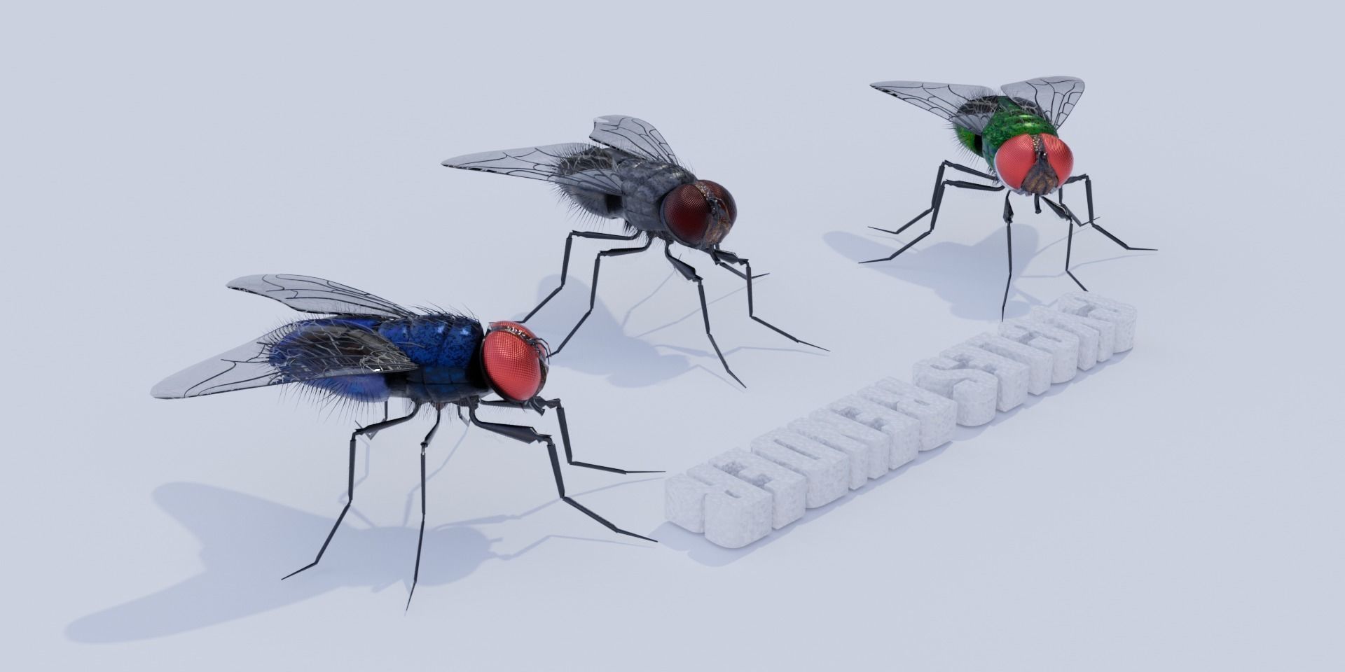 Flies pack for blender and DAZStudio 3D Model Collection_14