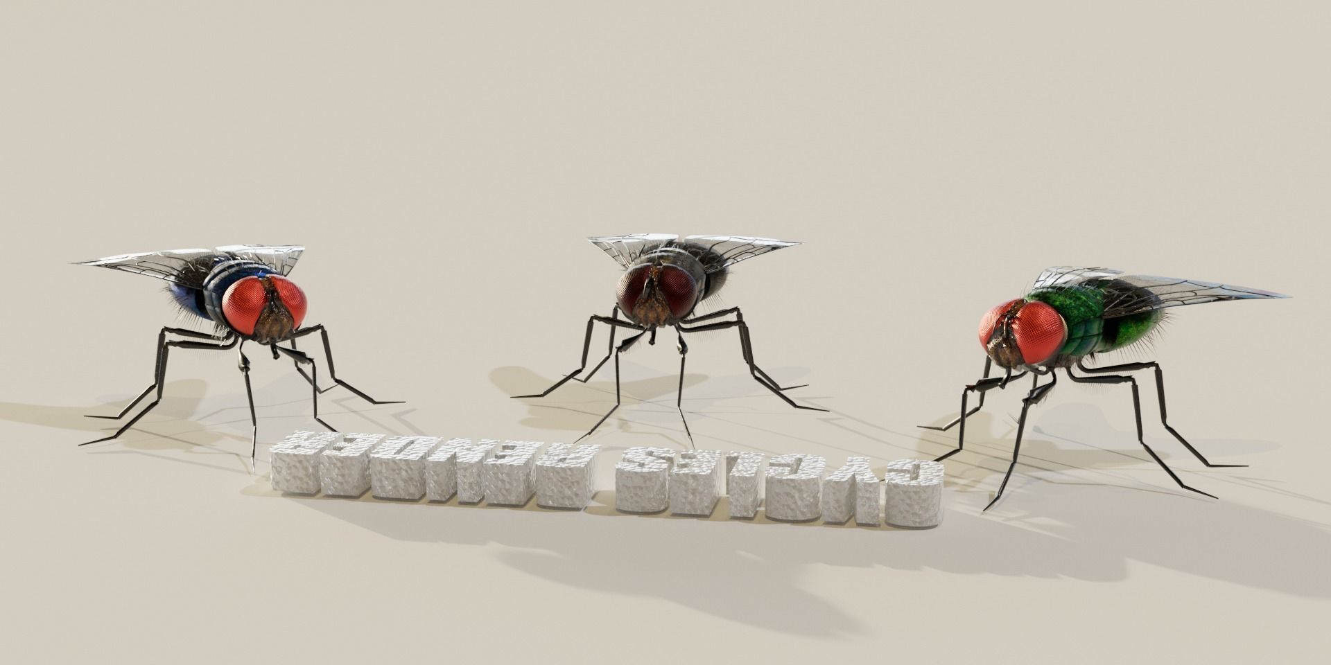 Flies pack for blender and DAZStudio 3D Model Collection_17