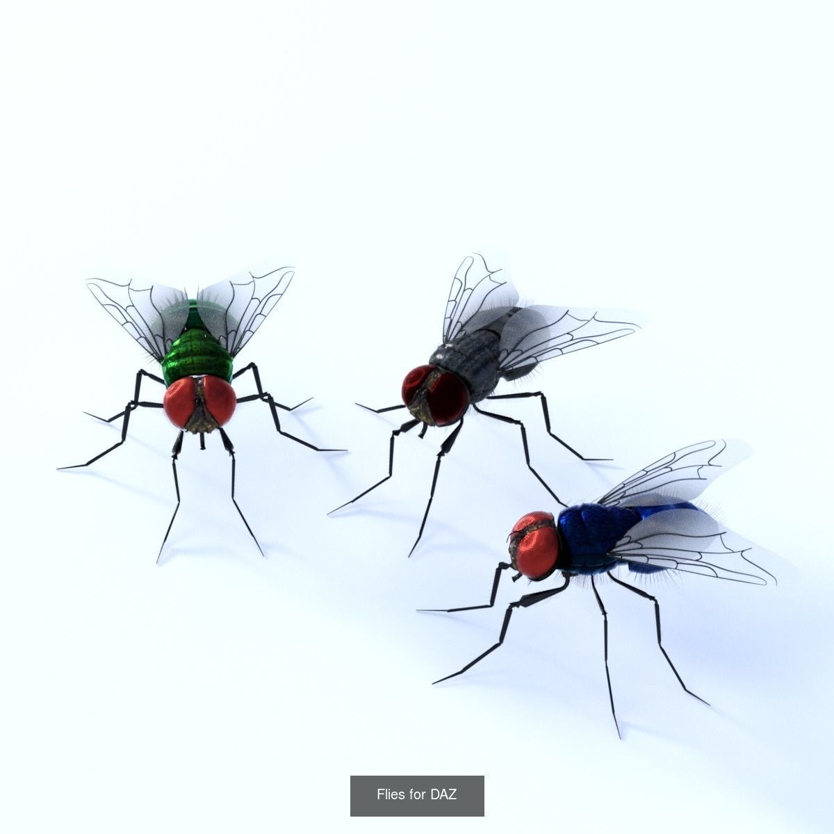 Flies pack for blender and DAZStudio 3D Model Collection_2