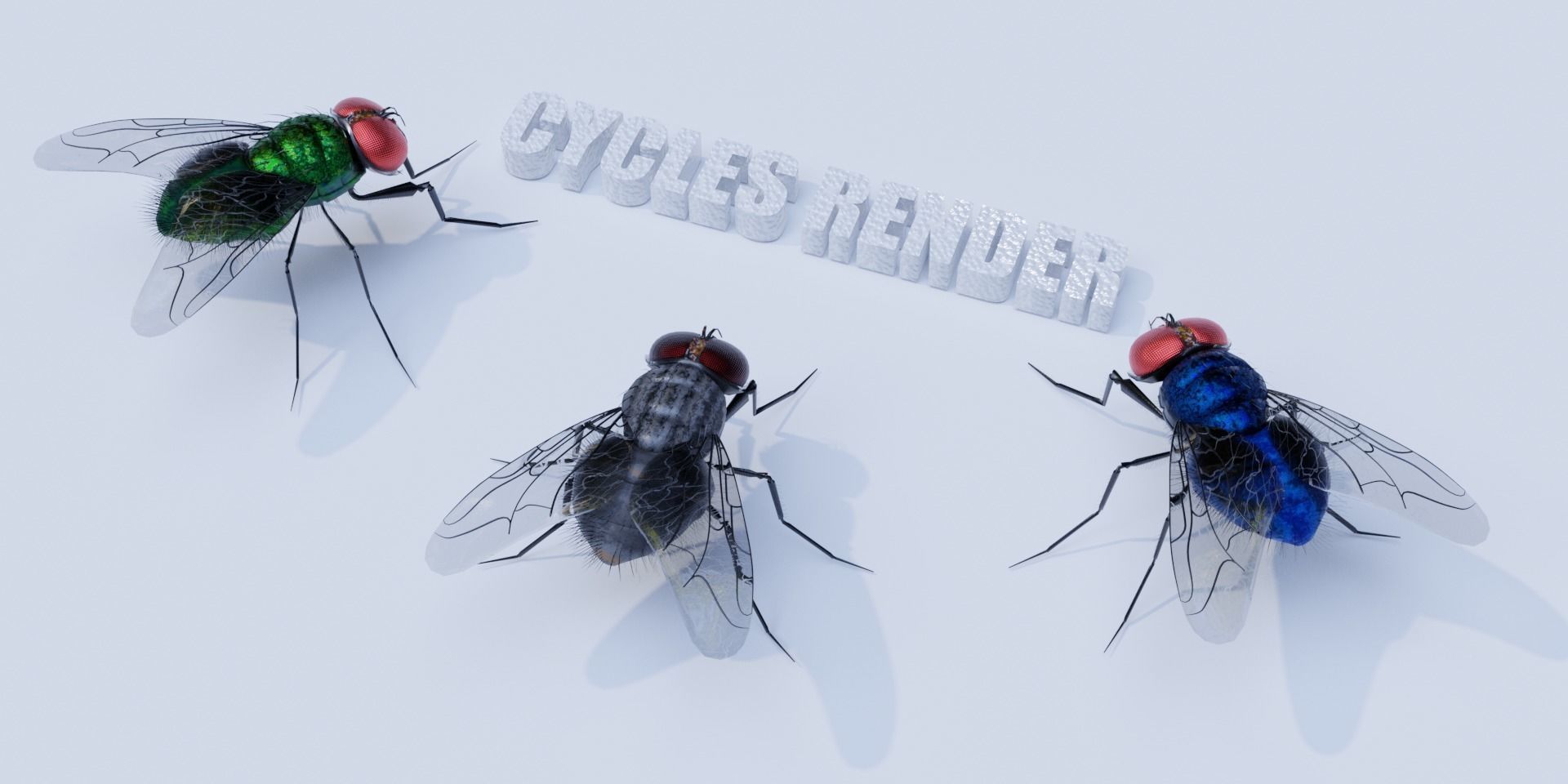 Flies pack for blender and DAZStudio 3D Model Collection_13