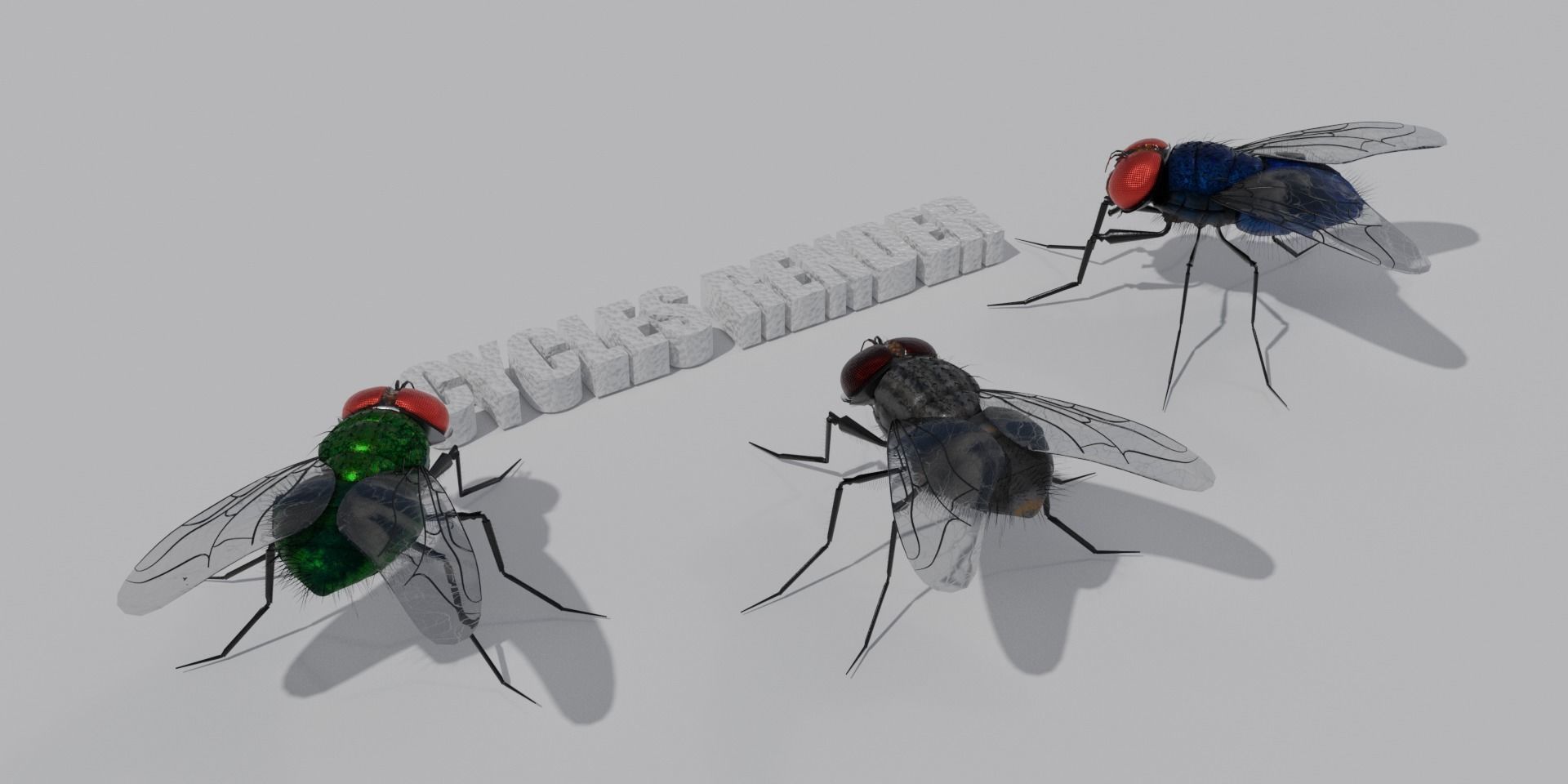 Flies pack for blender and DAZStudio 3D Model Collection_11