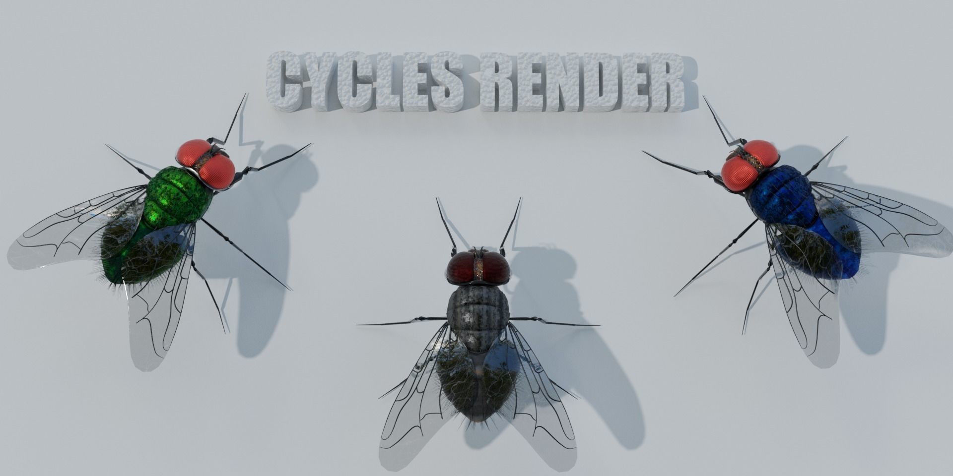Flies pack for blender and DAZStudio 3D Model Collection_20