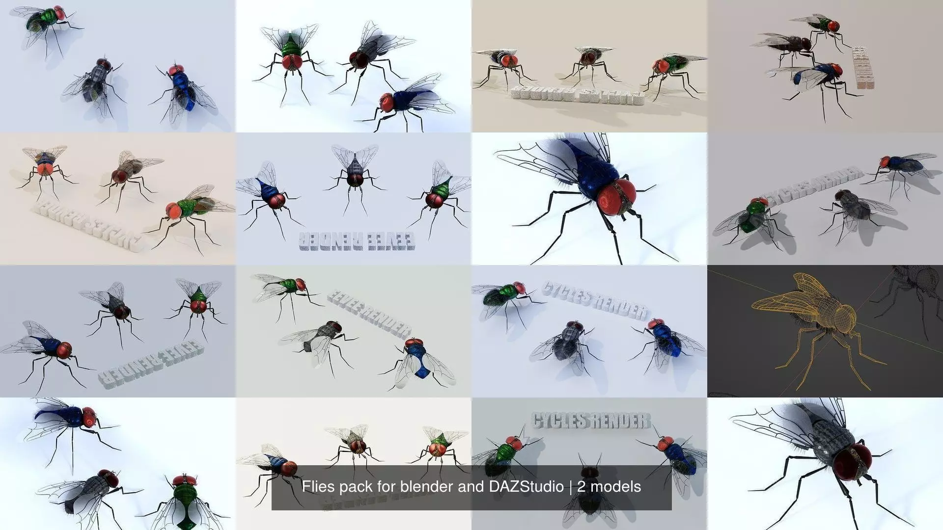 Flies pack for blender and DAZStudio 3D Model Collection_0
