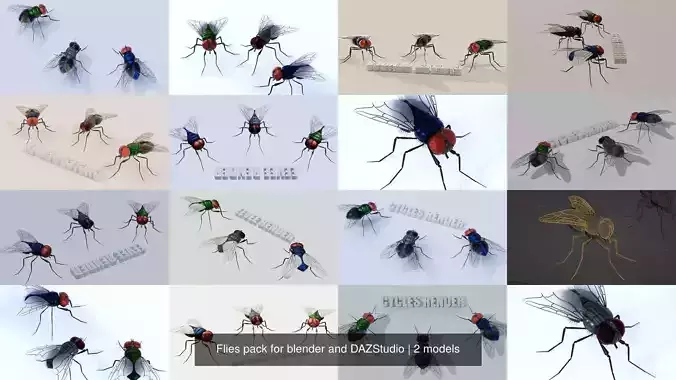 Flies pack for blender and DAZStudio 3D Model Collection