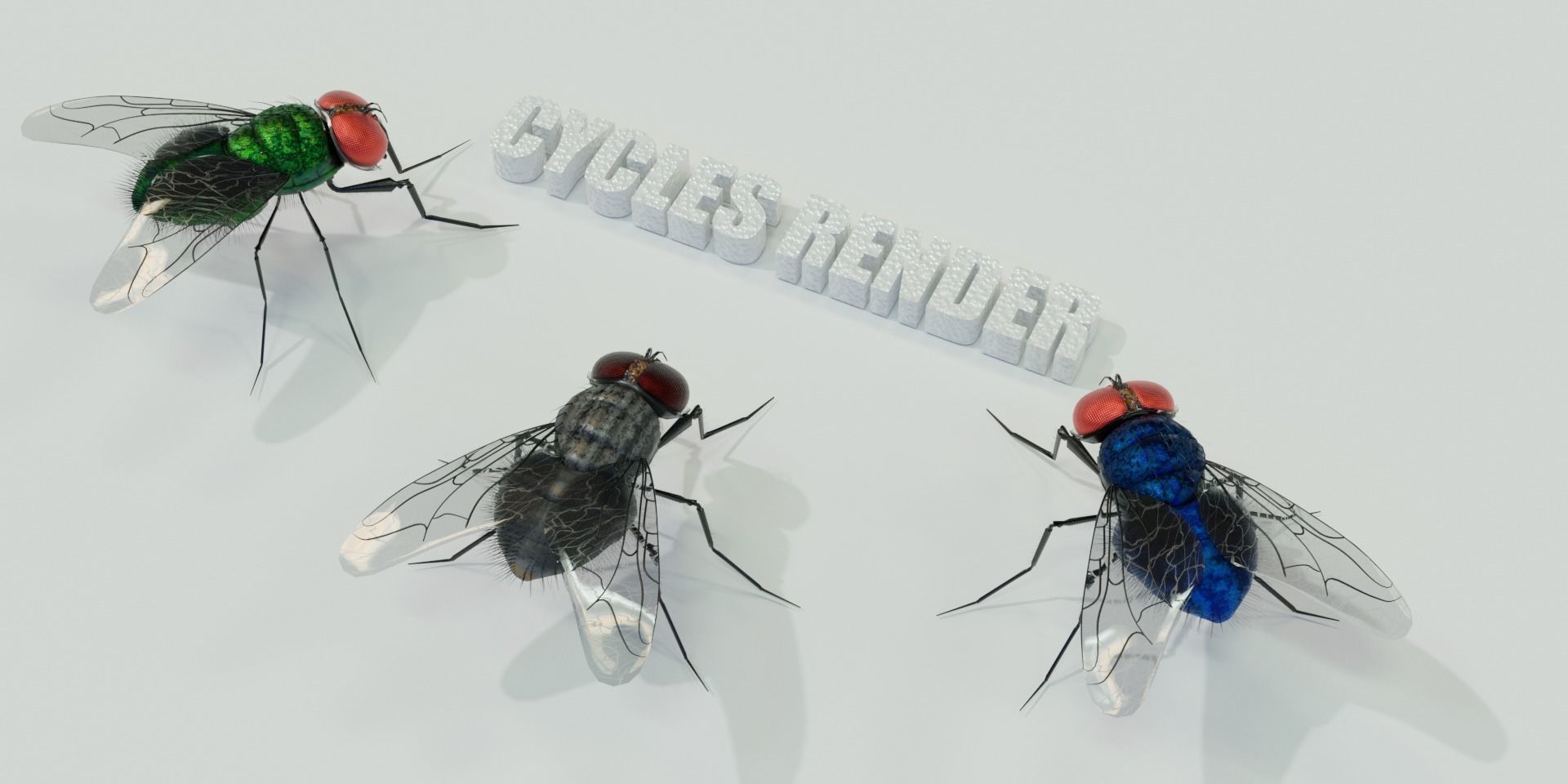 Flies pack for blender and DAZStudio 3D Model Collection_16