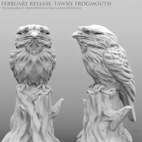 Tawny Frogmouth 3D print model