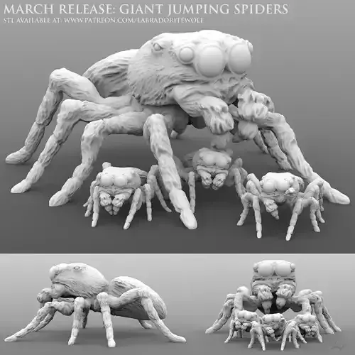Giant Jumping Spiders 3D print model