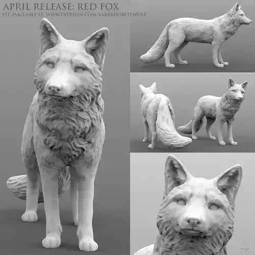 Red Fox 3D print model