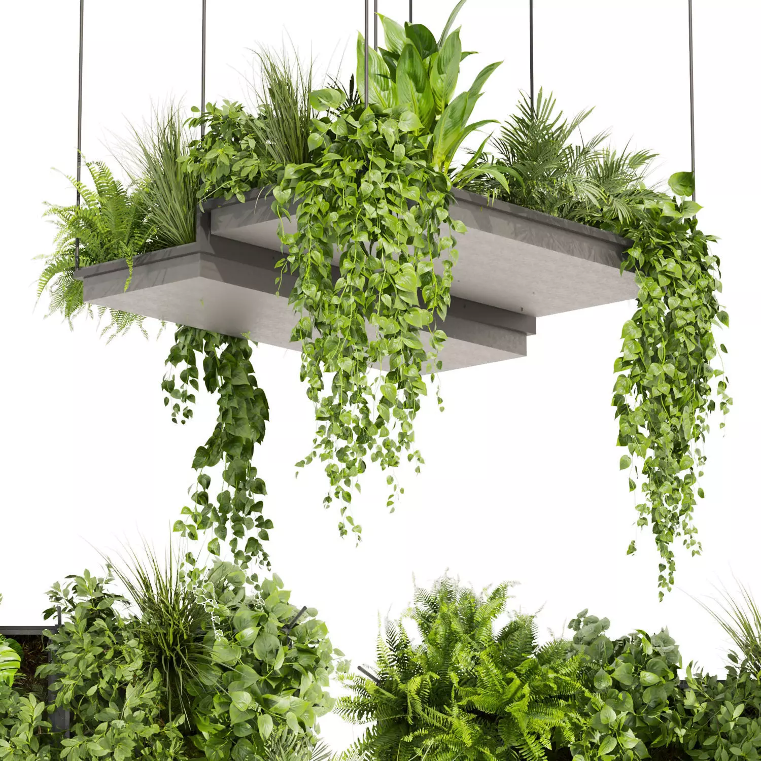 Collection plant vol 411 - pothos - hanging - ampelous - palm 3D model_0