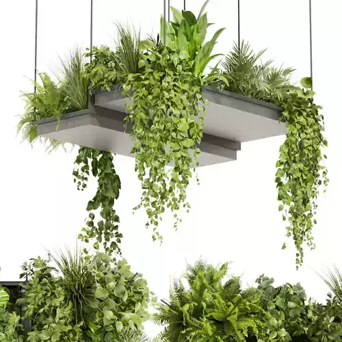 Collection plant vol 411 - pothos - hanging - ampelous - palm 3D model
