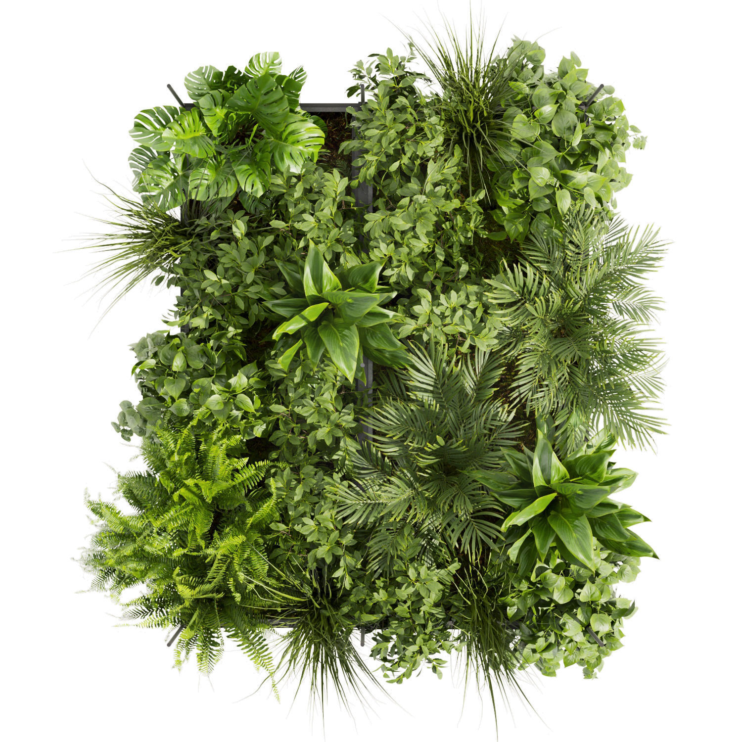 Collection plant vol 411 - pothos - hanging - ampelous - palm 3D model_5