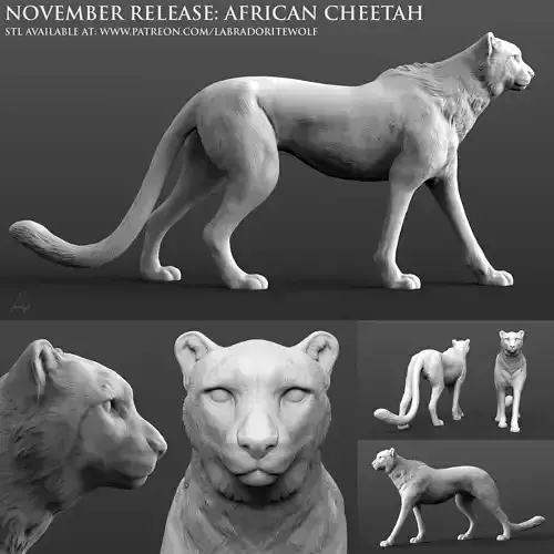 African Cheetah 3D print model