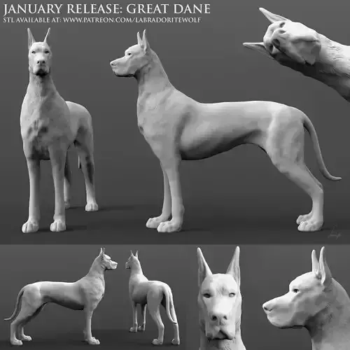 Great Dane 3D print model