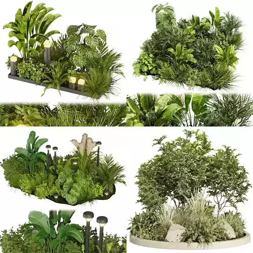Collection plant vol 02 - leaf - outdoor - garden 