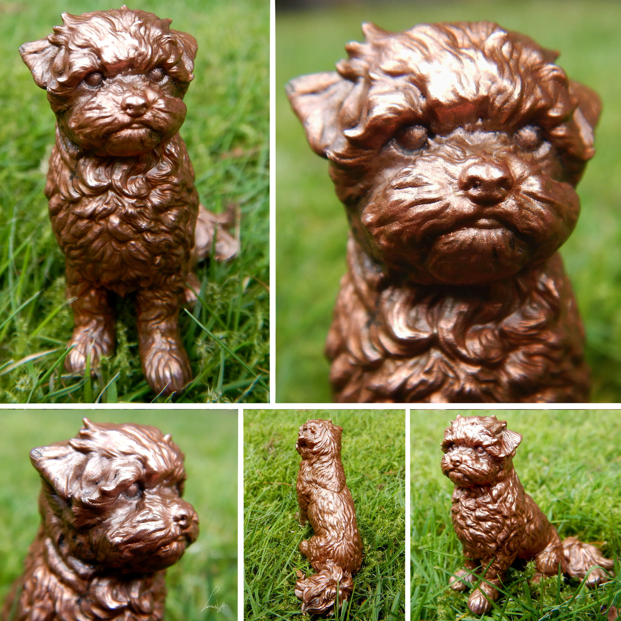 Lara Shih Tzu x Maltese Mix 3D print model_1