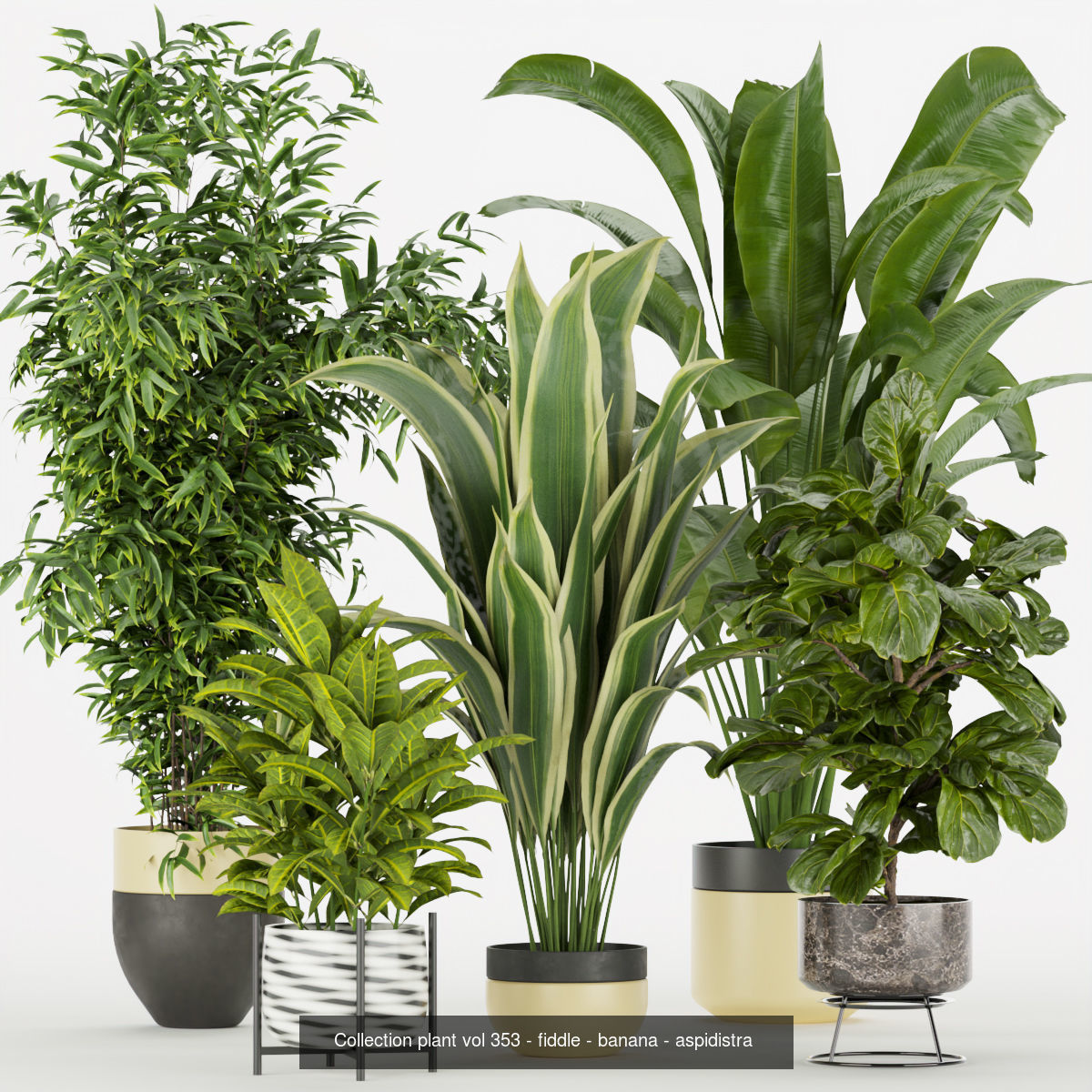 Collection plant indoor vol 2 _3