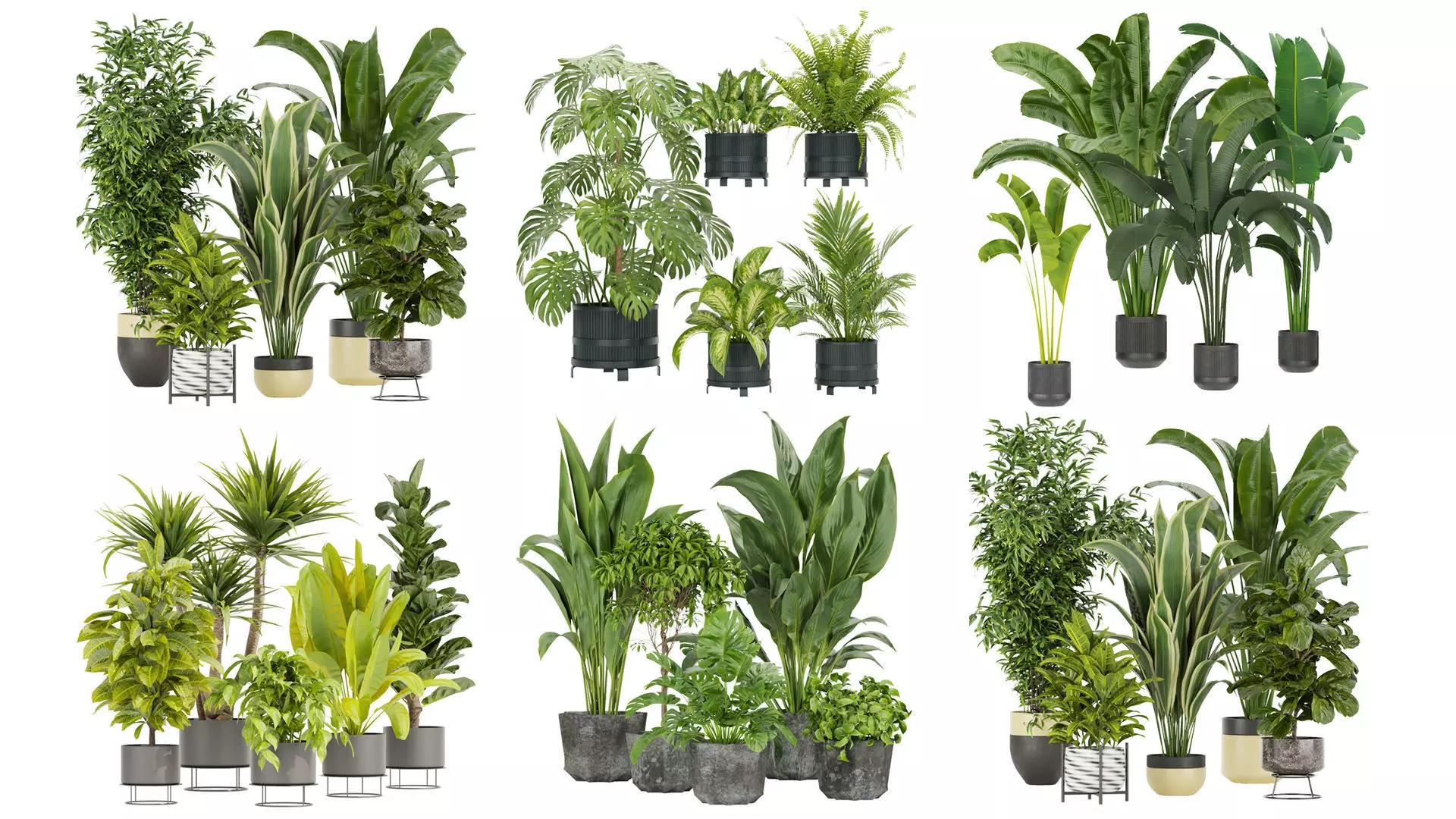 Collection plant indoor vol 2 _0