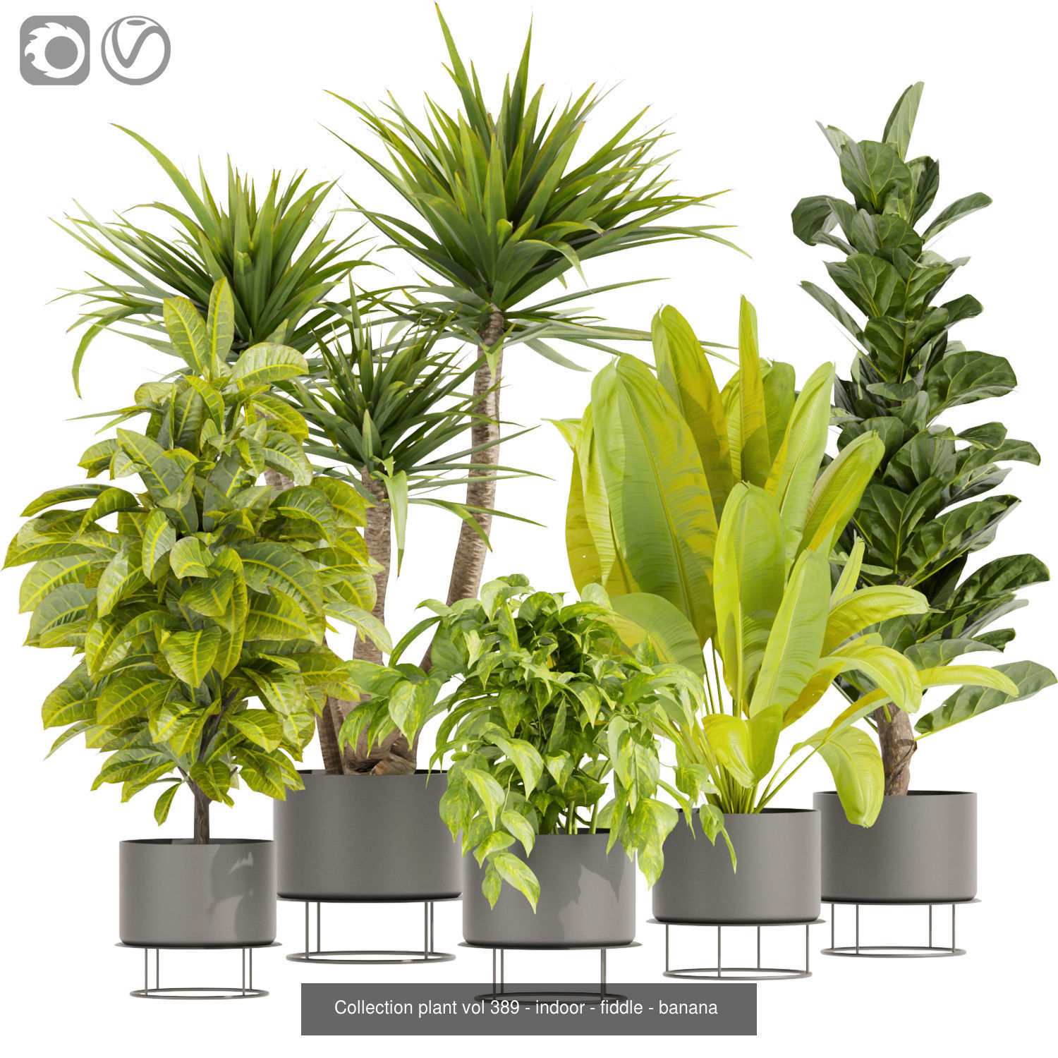 Collection plant indoor vol 2 _5