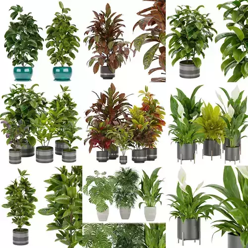 Collection plant indoor vol 7 
