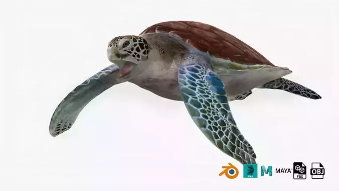 Realistic Rigged No Control Sea Turtle 